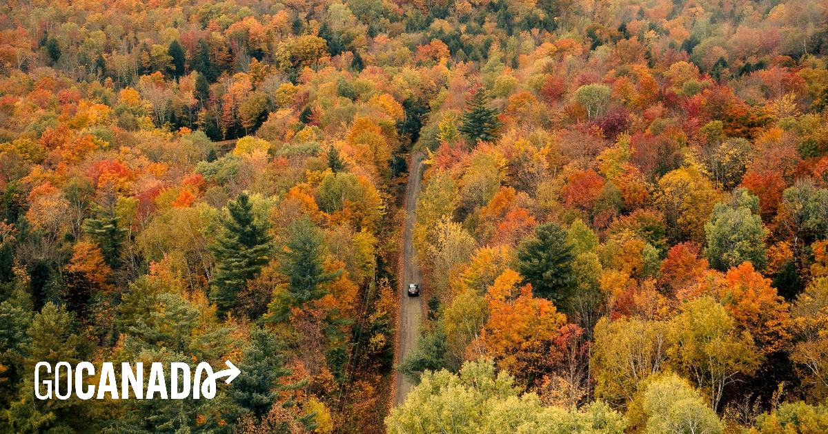 Chasing Fall Colours: Road Trips in Vancouver & the Eastern Townships ...